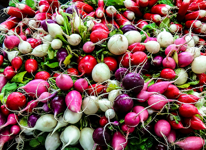 radishes